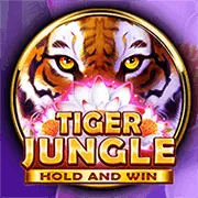 Hình ảnh quản lý vốn chơi slot game