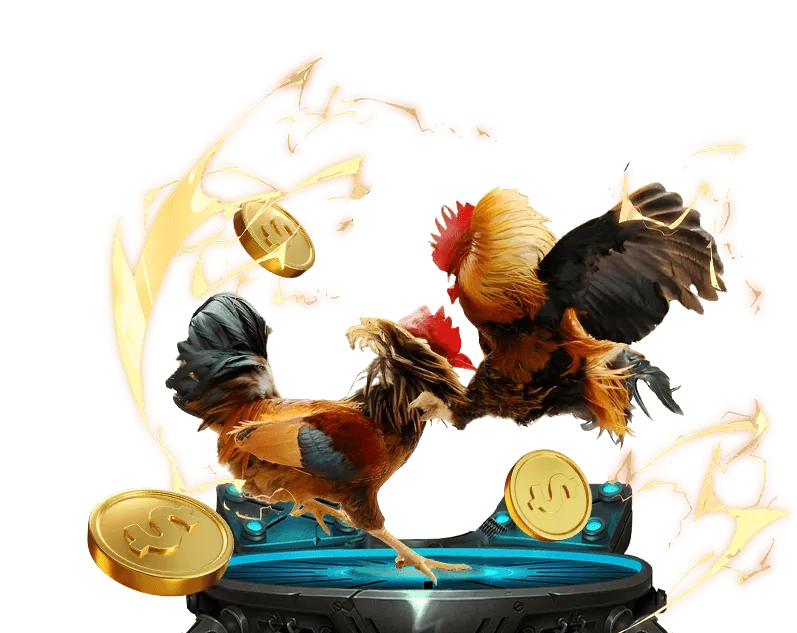 Đá gà Philippin gay cấn